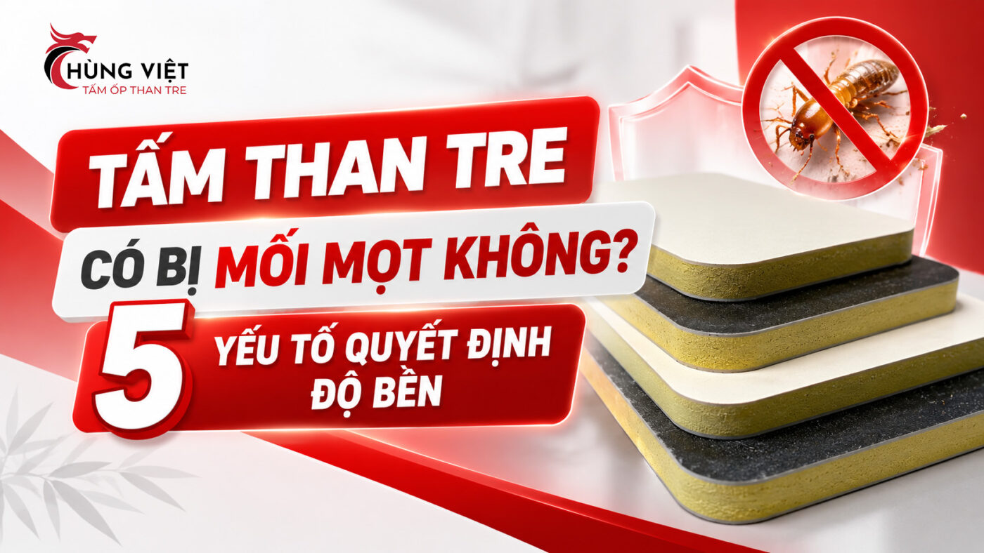 Tấm than tre có bị mối mọt không? 5 yếu tố quyết định độ bền